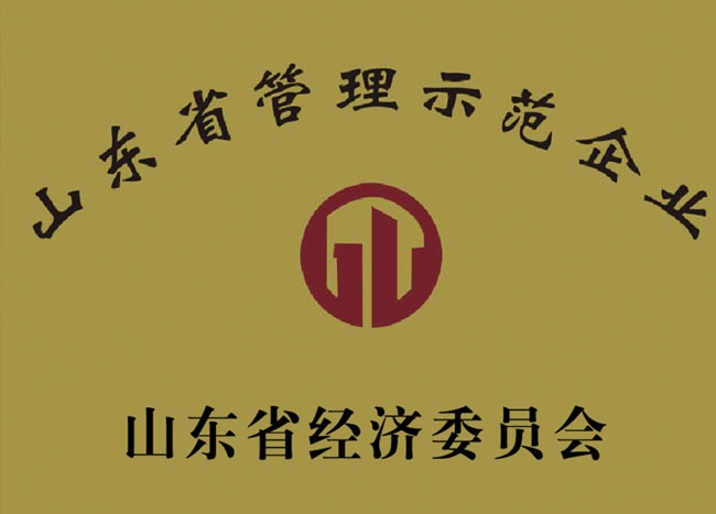 企業(yè)榮譽(yù)